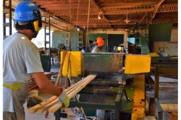 Concordia será sede de la Expo Vivienda y Foresto Industria 2023