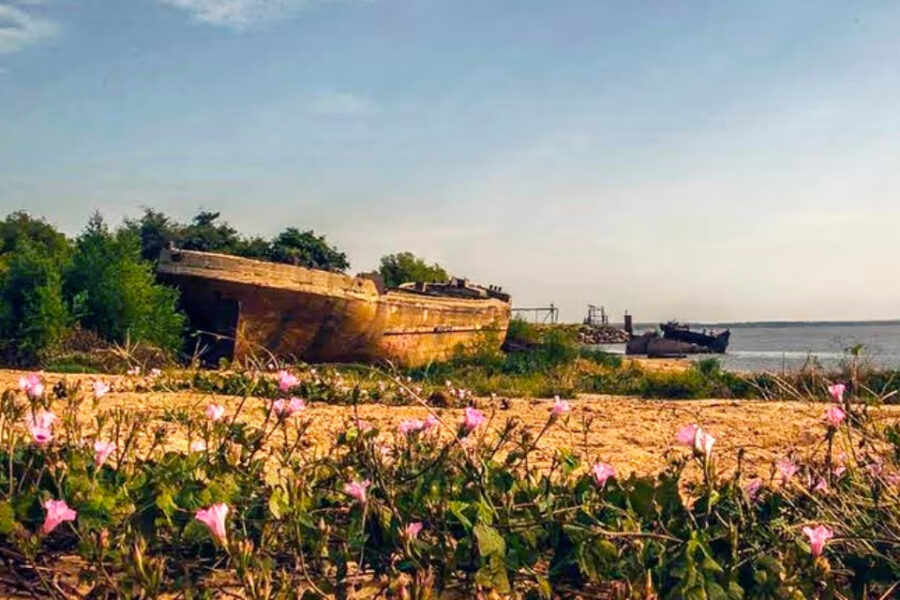 (En Entre Ríos) Los misterios detrás del barco de cemento encallado en el río: el hombre que vio a “El Néstor” en su esplendor