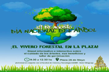 El vivero forestal en la plaza