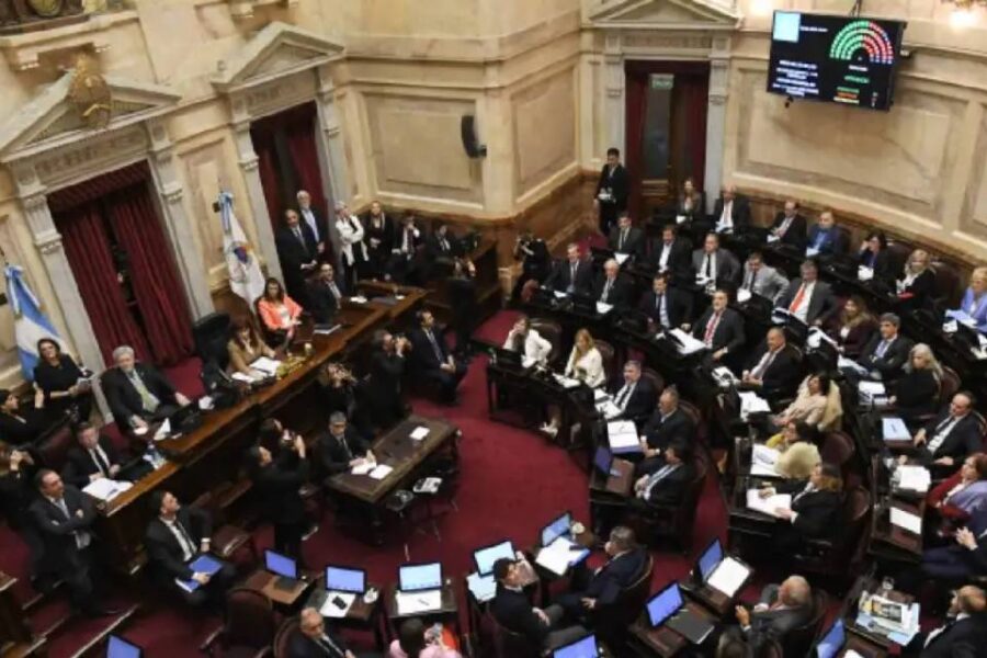 (Mención al entrerriano Kueider) El Senado aprobó un proyecto para reducir el IVA en la tarifa eléctrica