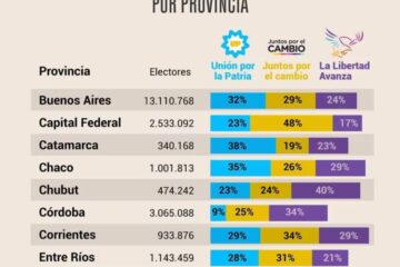 (Mención a Entre Ríos) Cuáles fueron los resultados de las PASO provincia por provincia y el peso electoral de cada una de ellas