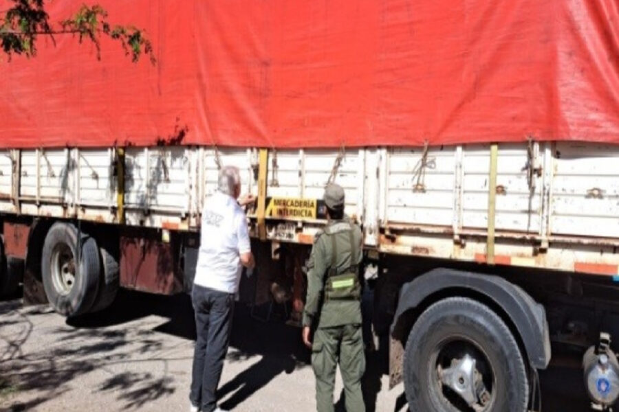 (Mención a Entre Ríos) Incautaron cerca de 900 toneladas de granos