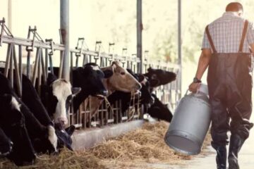 (Incluye a Entre Ríos) Inyección al agro: se aprueba el tercer desembolso por $3.573 millones para los tamberos