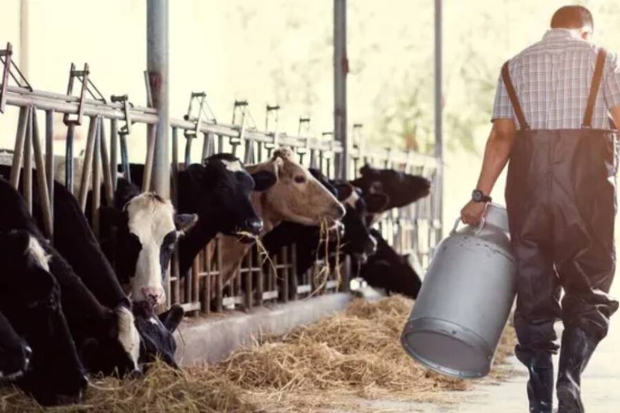 (Incluye a Entre Ríos) Inyección al agro: se aprueba el tercer desembolso por $3.573 millones para los tamberos