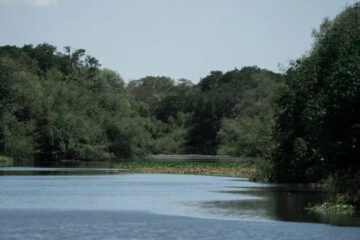 Preservarán y cuidarán 360 mil hectáreas de humedales e islas sobre el río Paraná en Entre Ríos