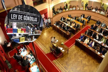 Diputados entrerrianos impulsan una Ley de Góndolas