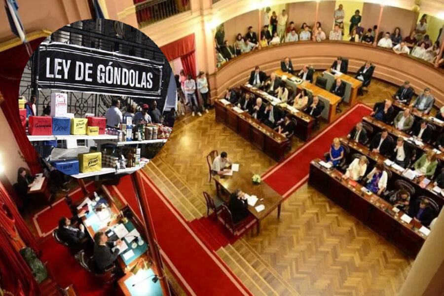 Diputados entrerrianos impulsan una Ley de Góndolas