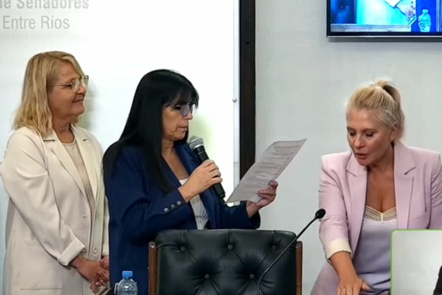 Luego de la polémica, la esposa de Bahl asumió como senadora