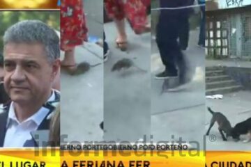 Una rata irrumpió en la rueda de prensa de Macri