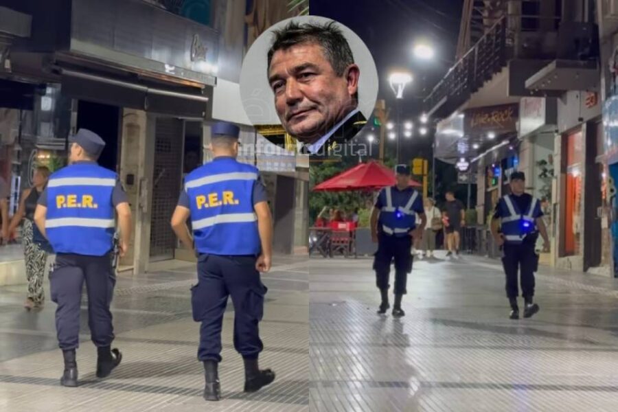 Particular propuesta de Roncaglia para identificar policías