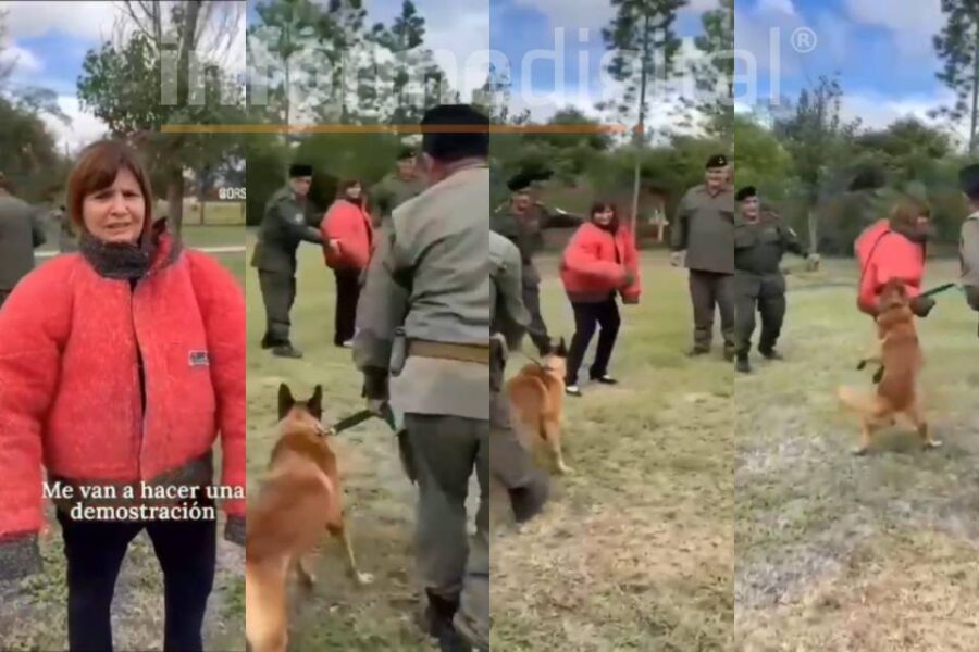 Video: Insólita demostración de Bullrich con un perro de seguridad