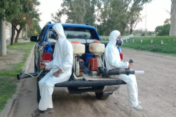 Volcar agua, cepillar, fumigar; la prevención del dengue es tarea de todos