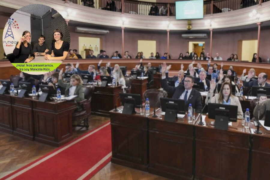 Diputados Entre Ríos lanza un programa de Streaming para sordos