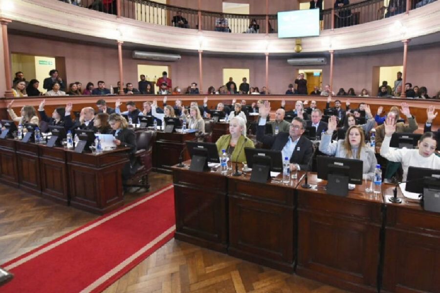 Se aprobó el proyecto de Lena que capacita financieramente a mujeres