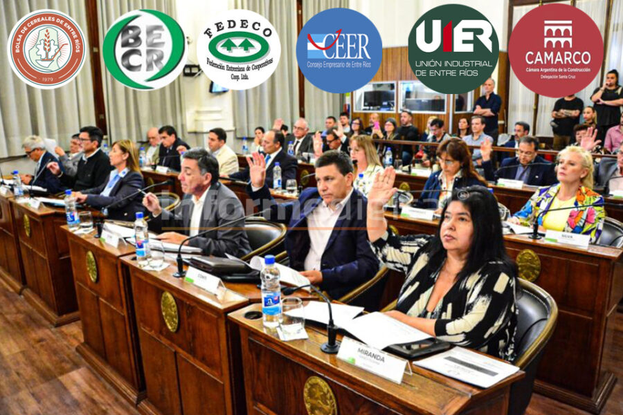 Senadores de JxER convocan a tratar el RIGI y el RINI