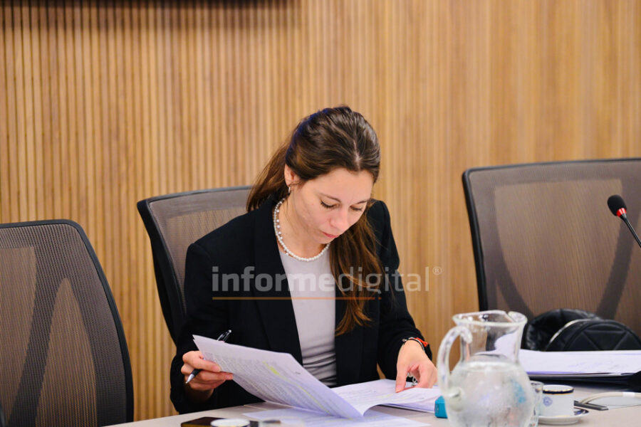 Diputada de Frigerio con un cargo en la comisión clave para el manejo de la Hidrovía