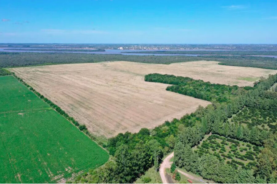 Un megaproyecto sobre el río Uruguay puso en alerta a Entre Ríos y hace resurgir el conflicto de Botnia