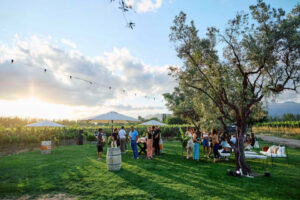 (Mención a Entre Ríos) Enoturismo. Una actividad que gana adeptos y una provincia que lidera las experiencias para Semana Santa