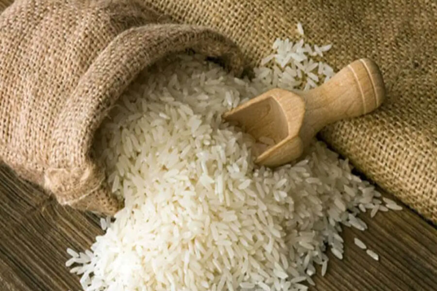 ¿Peligra el arroz?: el 17% de los productores en Entre Ríos abandonarían la producción