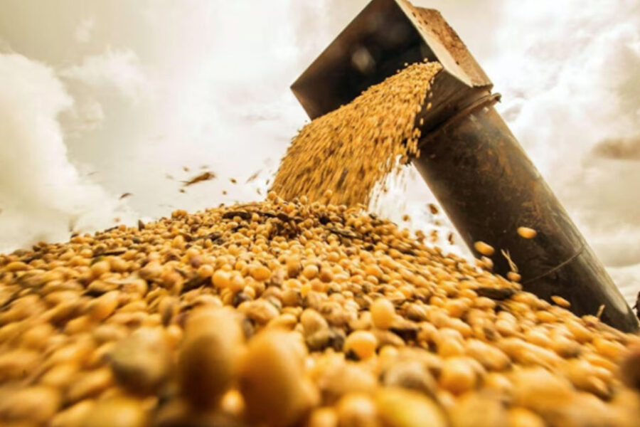 (Mención a Entre Ríos) La producción de soja alcanzaría las 50 millones de toneladas